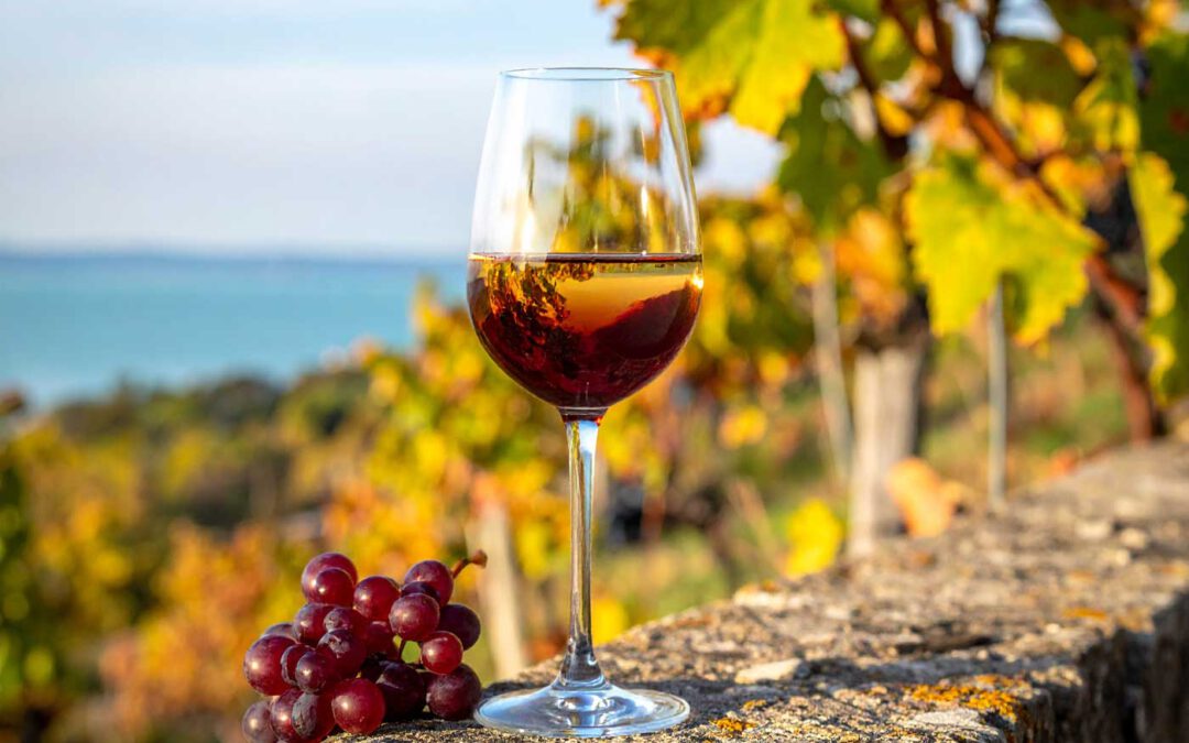 Balaton Weinregion Weinprobe Glas Rotwein mit Trauben im Weinberg und Blick auf den See